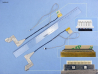 Cable flex (conexión pantalla) Lenovo Y470 Y471 GS7100047CBL